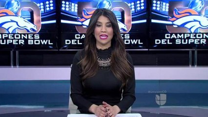 Mercancía más popular de los Campeones del Super Bowl 50