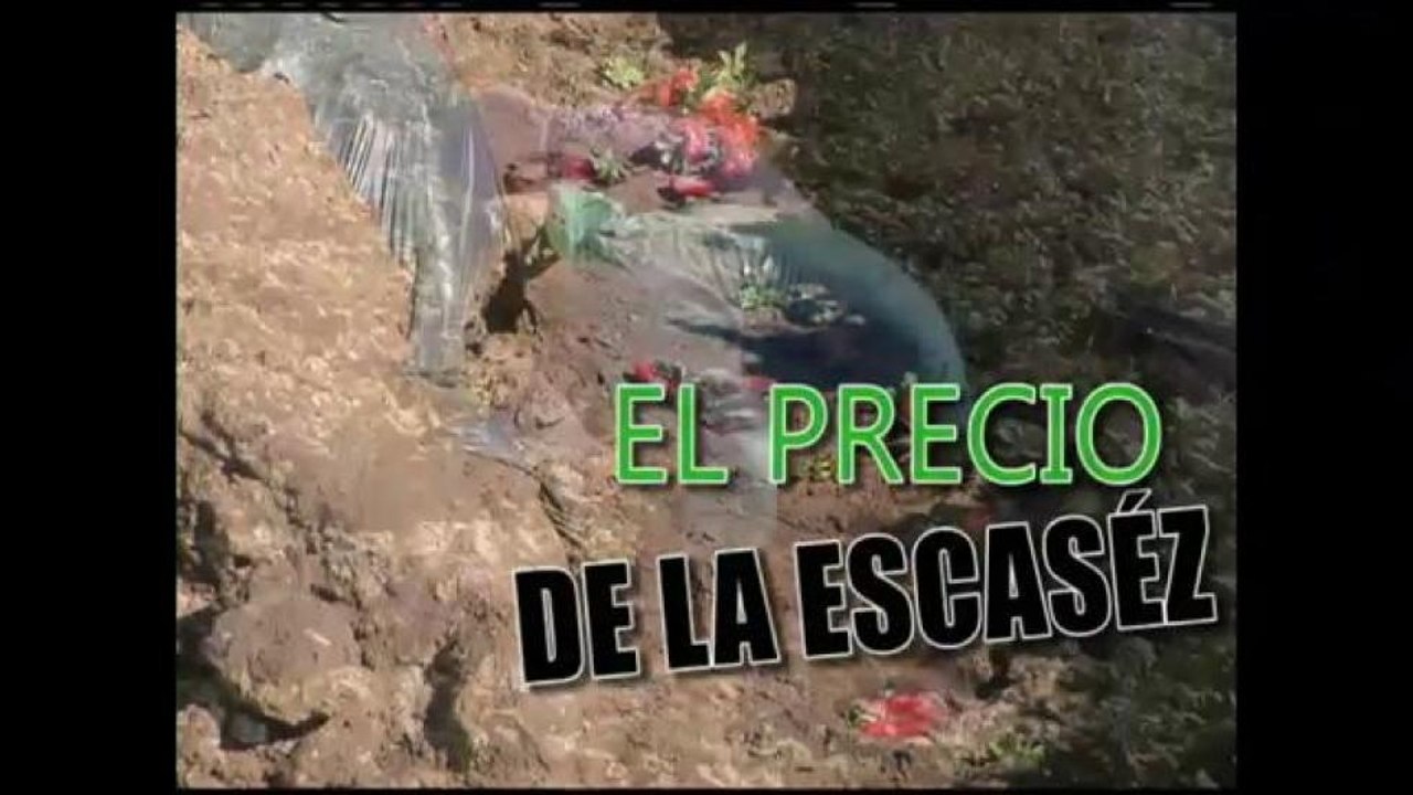 El precio de la escasez