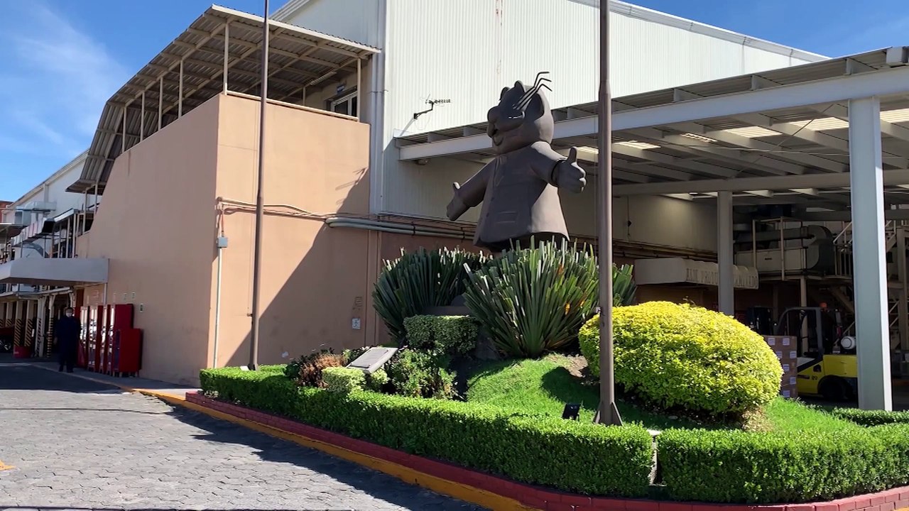 SIMI TRABAJANDO PARA USTED | Erwin Salinas