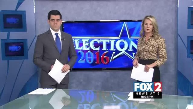 One Week from March Primaries, District 36 Residents Voting for Democratic Candidate