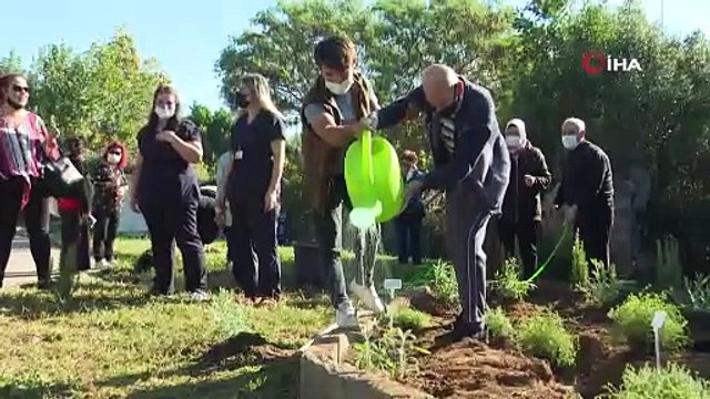 Alzehimer hastaları tıbbi aromatik bitkiler dikti