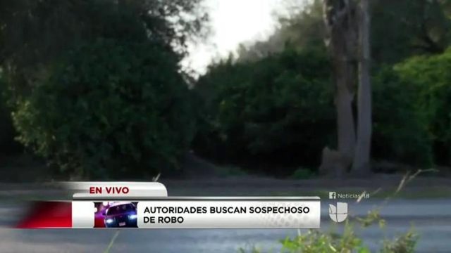 Autoridades buscan sospechosos de robo en Álamo