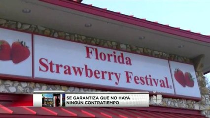 Una feria segura para los que aman las fresas