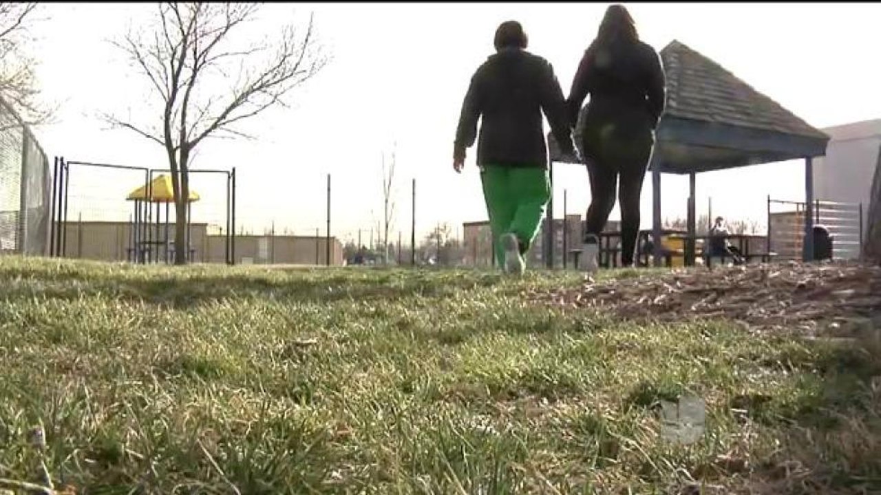 Programa para reportar ¨bullying¨