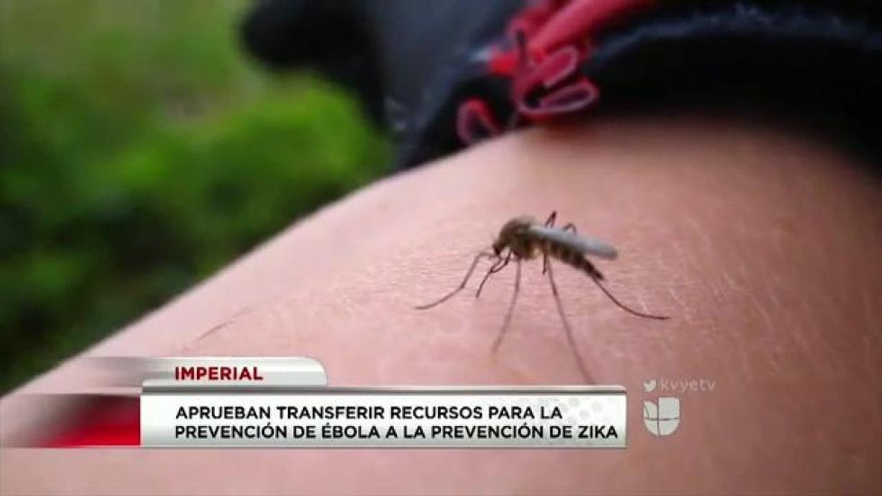 Reciben aprobación.