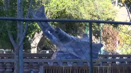 Terminan construcción de Plaza San Jacinto