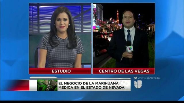 Diferentes usos de la marihuana