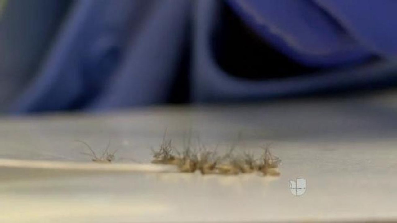 Prevención del zika