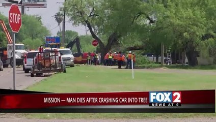 Man Crashes Head First into Tree, Dies Instantly