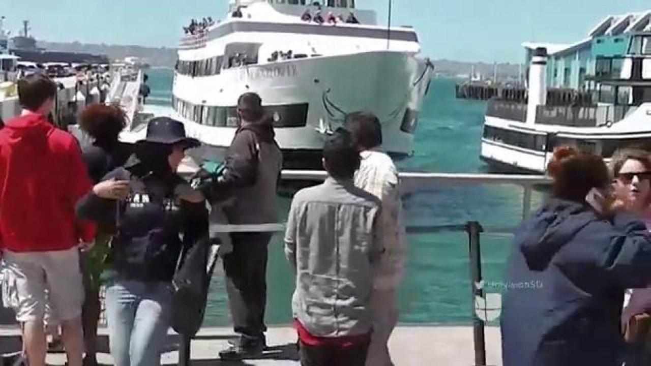 Nuevas imágenes