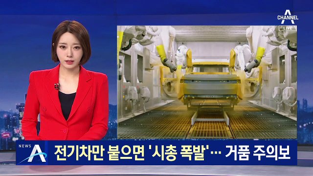 전기차 판매 호조에 ‘시총 폭발’…거품 주의보