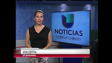 Sigue el debate sobre el ingreso de los refugiados