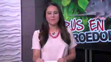 Entrevista sobre hantavirus con un doctor