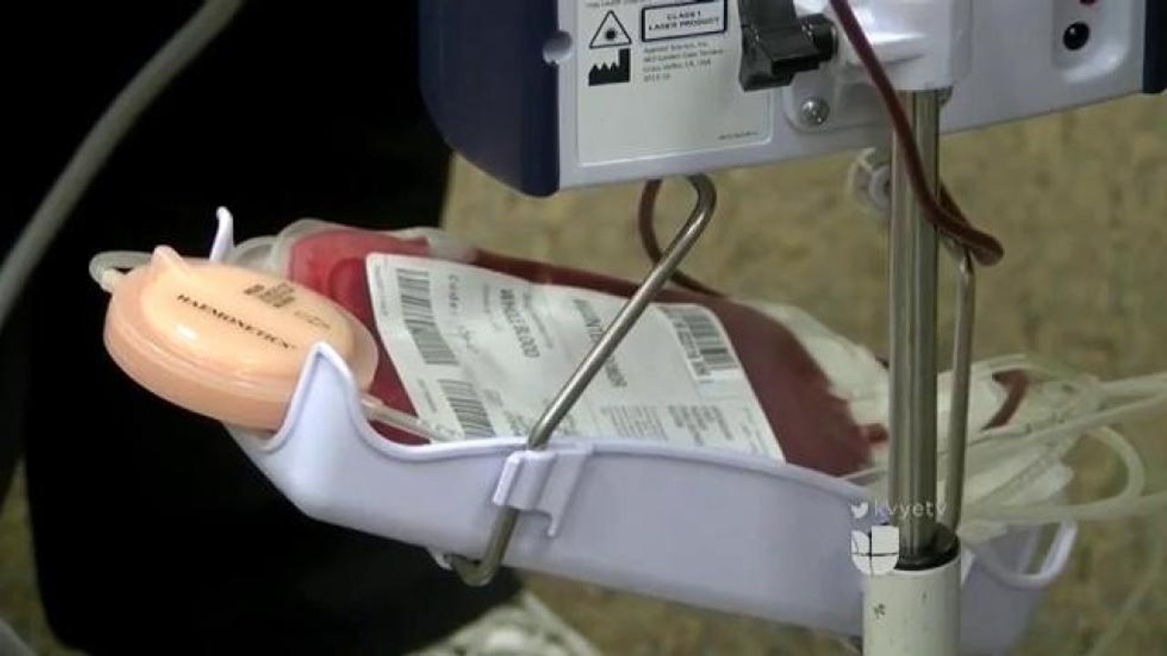 Donación de sangre.