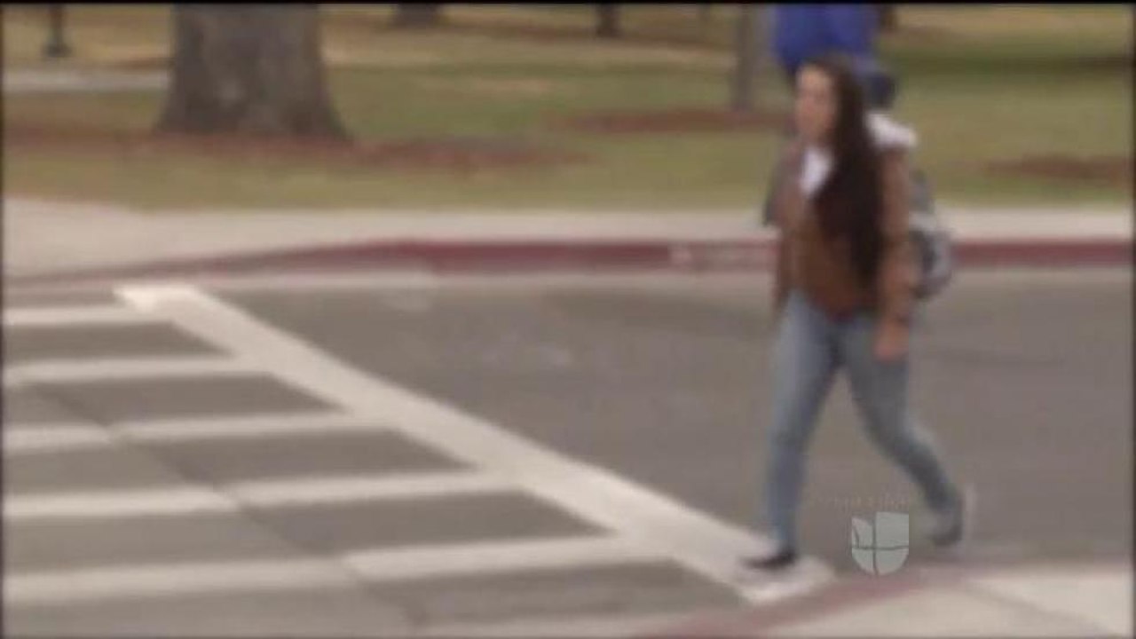 Sondeos sobre el acoso sexual en UNM