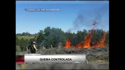 Bomberos prenden fuego a maleza