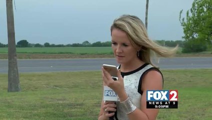 $18,000 in Beehives Stolen from Hargill Farm