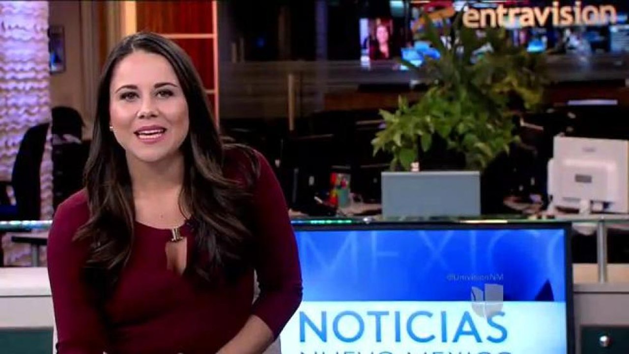 Aprobado programa piloto de mascotas en autobuses