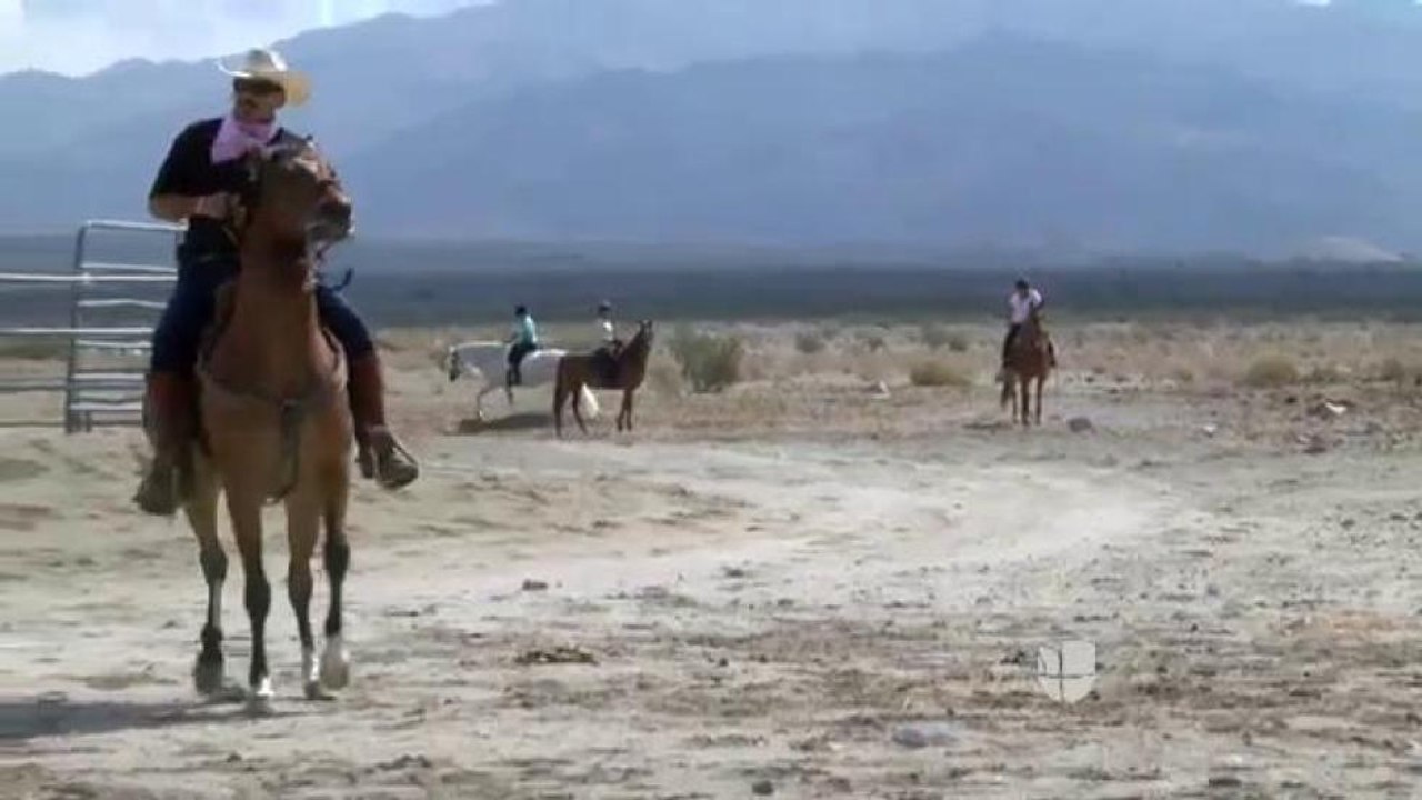 Cabalgata por la vida