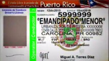 Cambio de licencias e identificaciones en Puerto rico