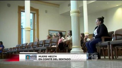 Muere propuesta para ampliar programa de licencias de conducir