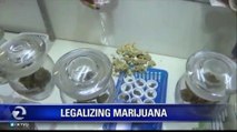 DECISIONS: VOTING ON THE LEGALIZATION OF MARIJUANA