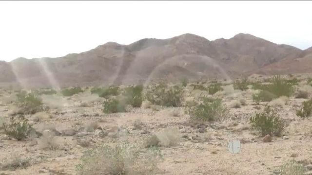 Rescate de extraviados.