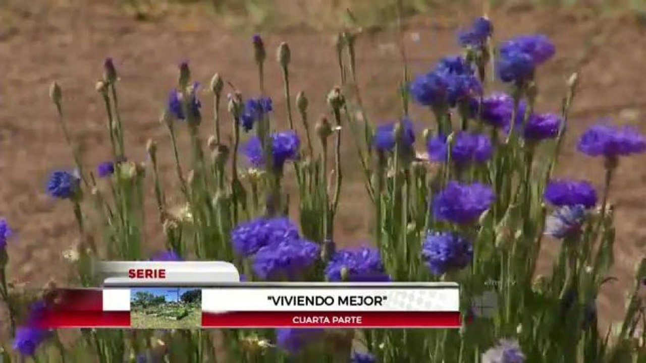 Viviendo mejor: cuarta parte