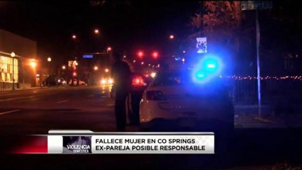 La violencia domestica en Colorado
