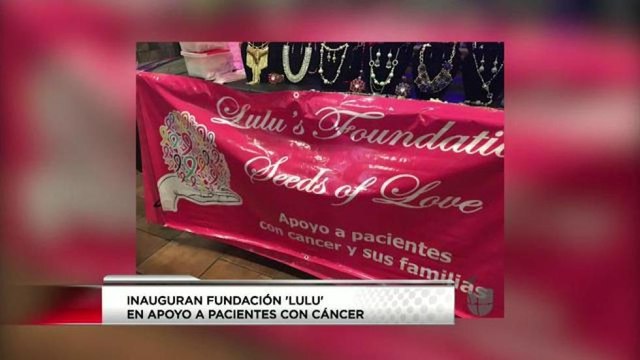 Lulu's Foundation, grupo de apoyo a pacientes con cancer