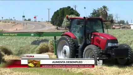 Sube tasa de desempleo.