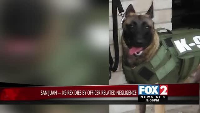 San Juan Police Officer Suspended Amid K-9 Death Investigation