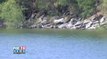 Man drowns at Lake Casa Blanca