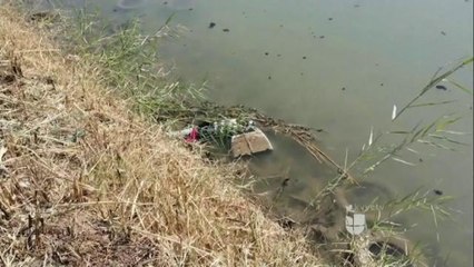 Dan a conocer causas de muerte.