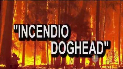 Dan a conocer más detalles sobre el incendio Dog Head