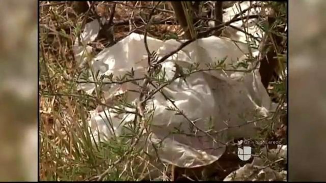 Grupo Interpone Demanda contra Ordenanza de las Bolsas Plásticas en Laredo