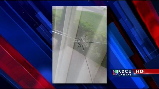 Canicas son disparadas a hogares causando daños