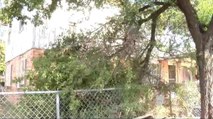 Tormentas y Lluvias Causan Estragos en Vecindarios de Laredo
