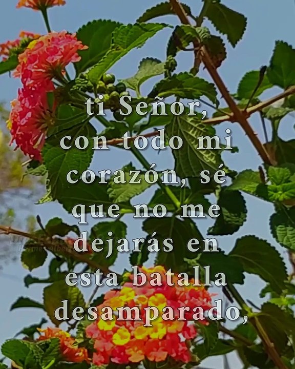 Jesús amado, este nuevo día tengo miles de razones para agradecerte