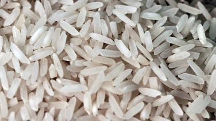 Rice Grains