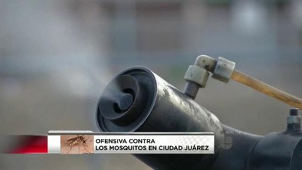 Ofensiva Contra el virus del Nilo y del Zika en Juárez