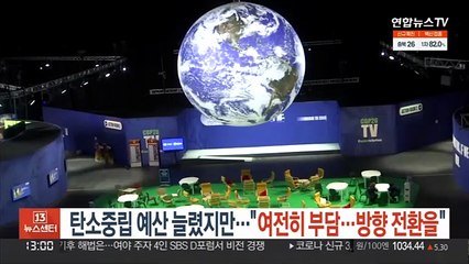 탄소중립 예산 늘렸지만…"여전히 부담…방향 전환을"