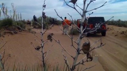 Destacada labor del grupo beta en ayuda en inmigrantes.