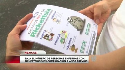 Disminución en casos de rickettsia.