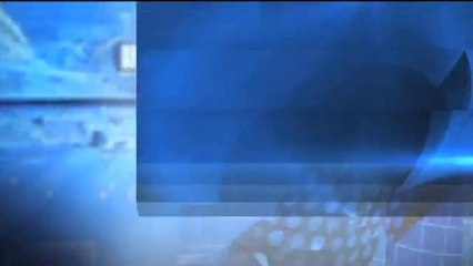 Independiente del Valle rumbo a la gran final de la Libertadores