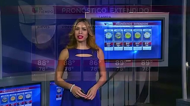 Pronóstico del tiempo para el 4 de agosto de 2016 Tampa Bay