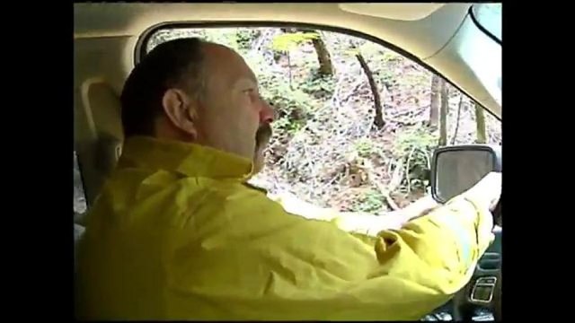 VIDEO: Recorrido por áera de Palo Colorado afectado por el incendio Soberanes