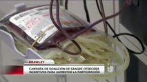 Salvar vidas con la donación de sangre.