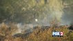 Fires Consumes 20 Acres in Brownsville Area