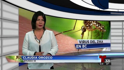 Quienes viajen al sureste de México deben cuidarse del Zika